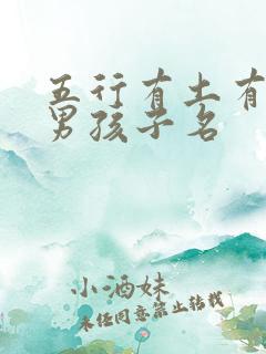 五行有土有木的男孩子名