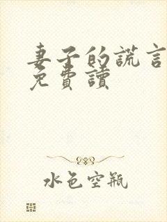 妻子的谎言小说免费读