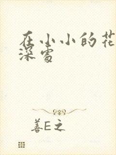 在小小的花蕾的深处