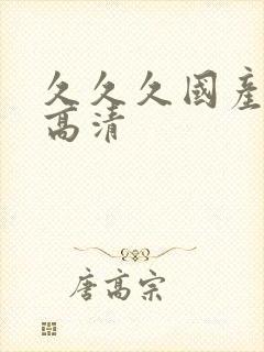 久久久国产精品高清