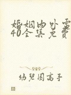 婚姻内外电视剧40全集免费观看