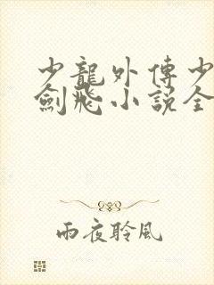 少龙外传少年龙剑飞小说全文