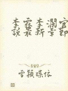 李霖李澜官场小说最新章节