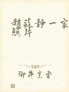 赵苏静一家三口照片