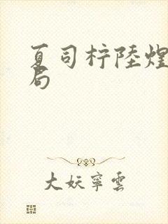 夏司柠陆煜泽结局