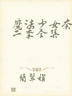 魔法少女奈叶第二季全集