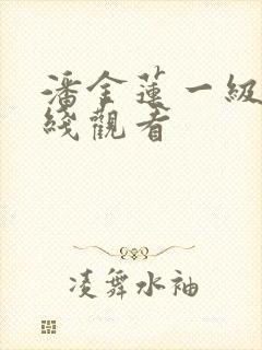 潘金莲一级片在线观看