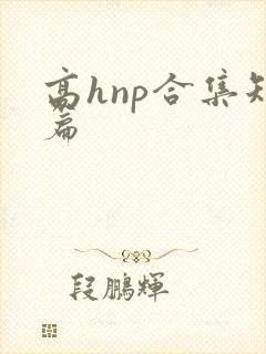 高hnp合集短篇
