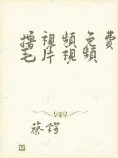 撸视频免费观看毛片视频