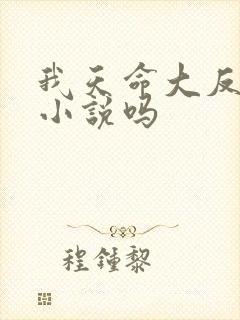 我天命大反派有小说吗