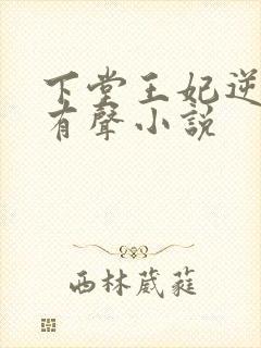 下堂王妃逆袭记有声小说