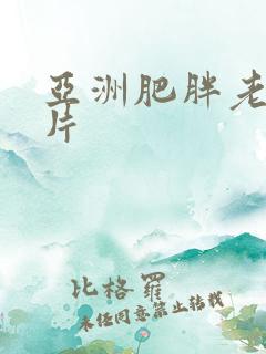 亚洲肥胖老人毛片