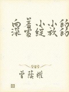 向着小小的花蕾深处绽放的花