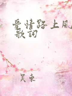 爱情路上风雨多 歌词