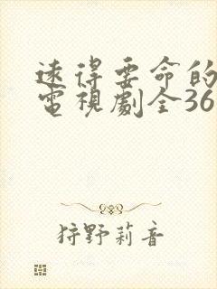 远得要命的爱情电视剧全36集