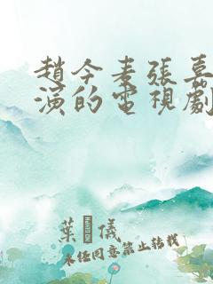 赵今麦张嘉译主演的电视剧