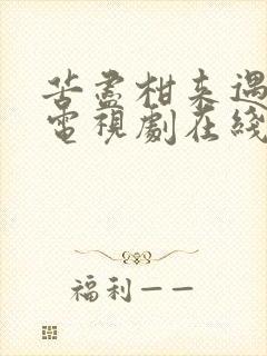 苦尽柑来遇见你电视剧在线免费观看全集