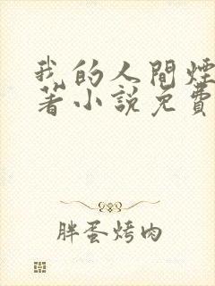 我的人间烟火原著小说免费阅读