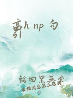高h np 勾引