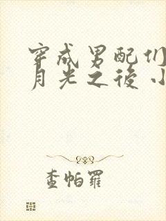 穿成男配们的白月光之后 小说