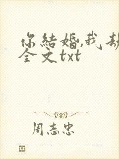 你结婚,我劫婚全文txt