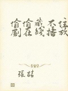 偷偷藏不住电视剧在线播放免费