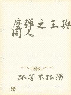 魔弹之王与战姬同人