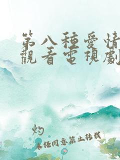 第八种爱情免费观看电视剧