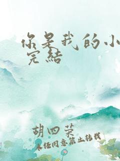 你是我的小确幸 完结