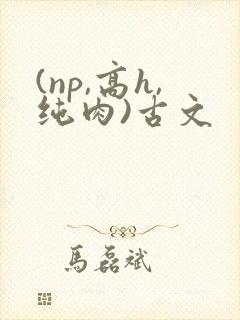 (np,高h,纯肉)古文