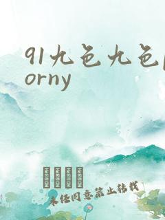91九色九色porny