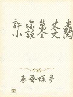 许你万丈光芒好小说全文阅读