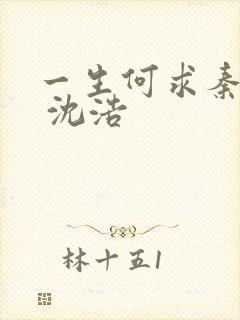 一生何求秦菲雪 沈浩