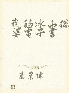 我的冰山总裁老婆电子书