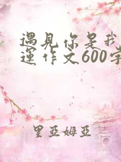遇见你是我的幸运作文600字初中免费