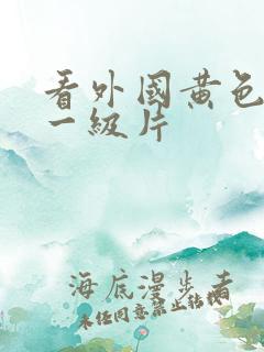 看外国黄色录像一级片