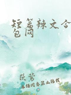 短篇辣文合集书包网