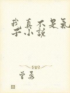 我真不是气运之子小说