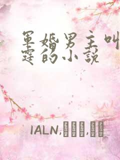 军婚男主叫霍北霆的小说