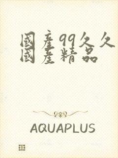 国产99久久久国产精品