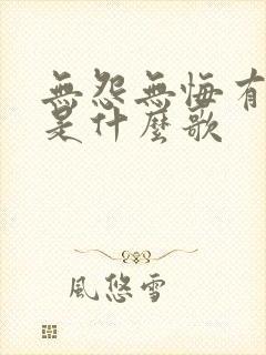 无怨无悔有几人是什么歌