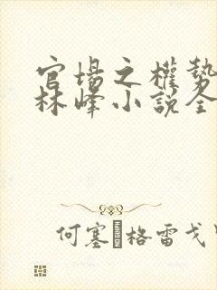 官场之权势滔天林峰小说全部章节