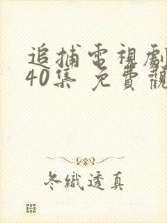 追捕电视剧 共40集 免费观看