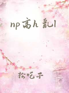 np高h 乱l