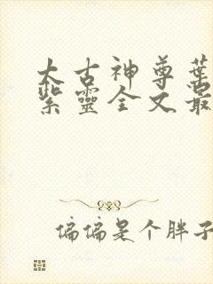 太古神尊叶风叶紫灵全文最新