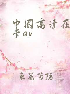 中国高清在线不卡av