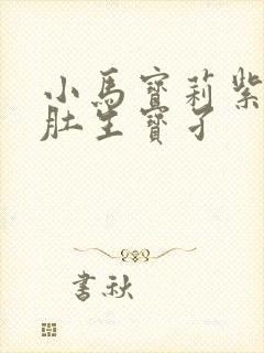 小马宝莉紫悦大肚生宝孑