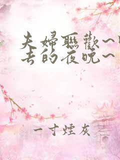 夫妇联欢~回不去的夜晚~