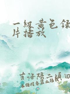 一级黄色录像大片播放