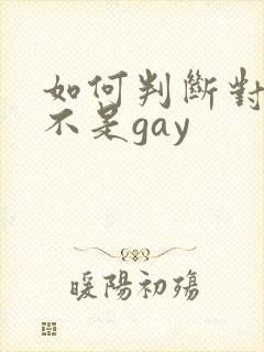 如何判断对方是不是gay